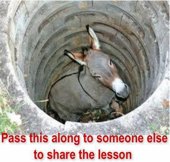 Ass in the Hole